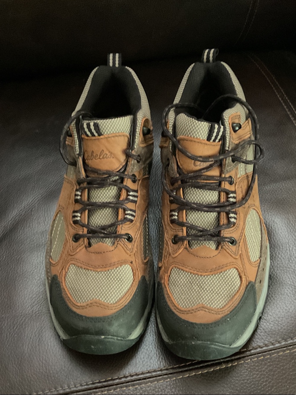 Cabela's Men's Brown and Green Athletic Hiking Shoes